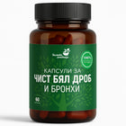 Бял дроб и бронхи