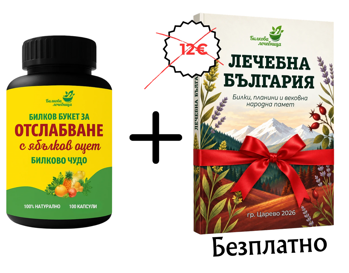 Билков букет за отслабване с ябълков оцет и подарък книга Лечебна България