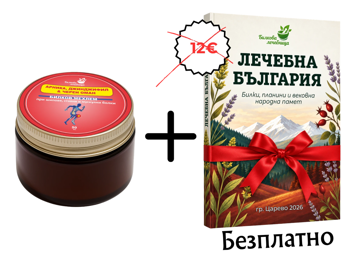 Билков мехлем арника, джинджифил и черен оман с подарък книга Лечебна България