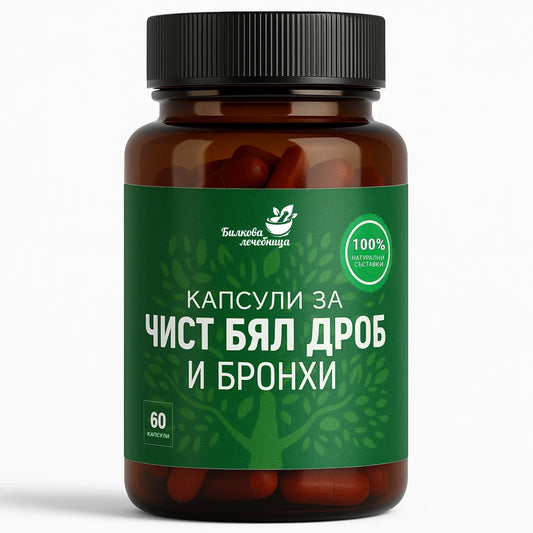 Бял дроб и бронхи