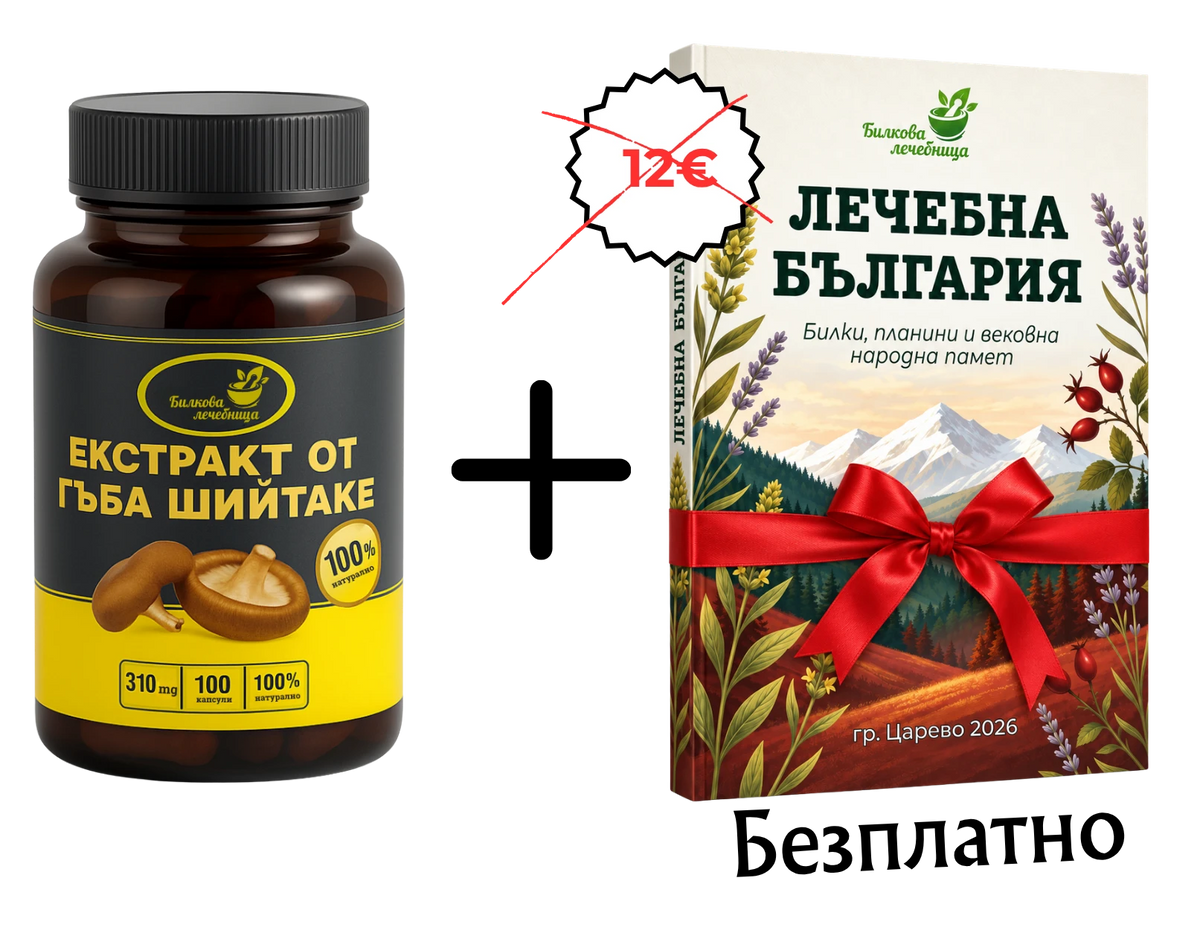 Екстракт от гъба Шийтаке с подарък книга Лечебна България